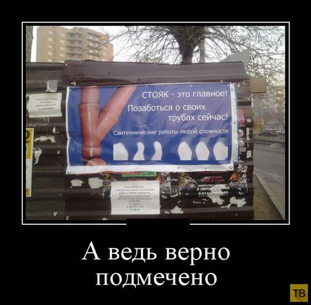 Демотиваторы от 10.04.2015 (35 фото)