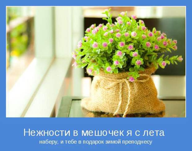 Мотиваторы