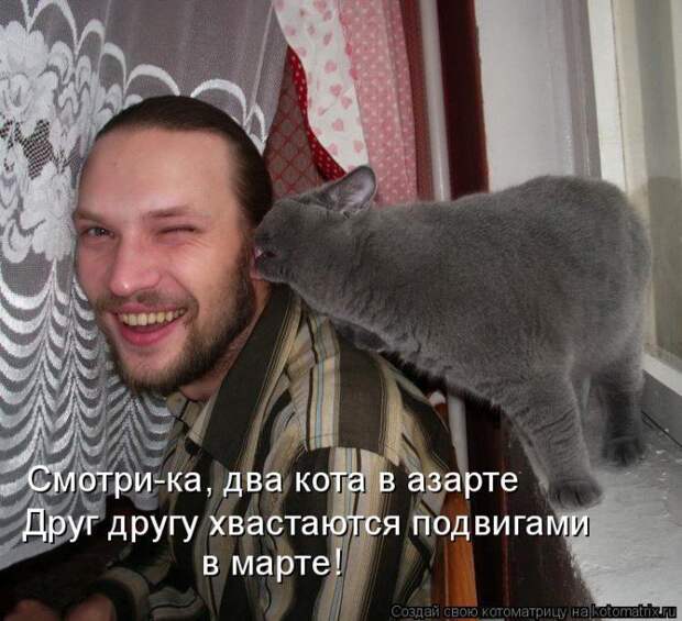 Мысли вслух :)