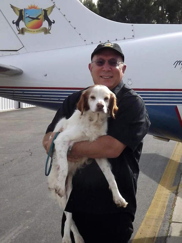 Пилоты спасают собак от эвтаназии  пилот, собака, спасение