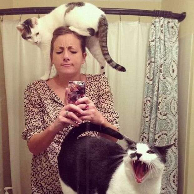 Коты, которые и не подозревают, что у вас есть личное пространство (15 фото) Коты, которые и не подозревают, что у вас есть личное пространство (15 фото)