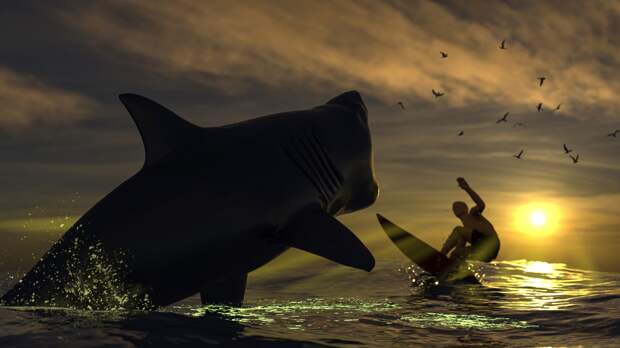 animated shark vs surfer