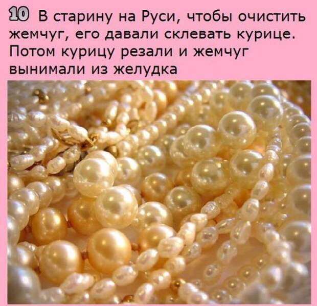 Интересные факты на разные темы (20 фото) Интересные факты на разные темы (20 фото)