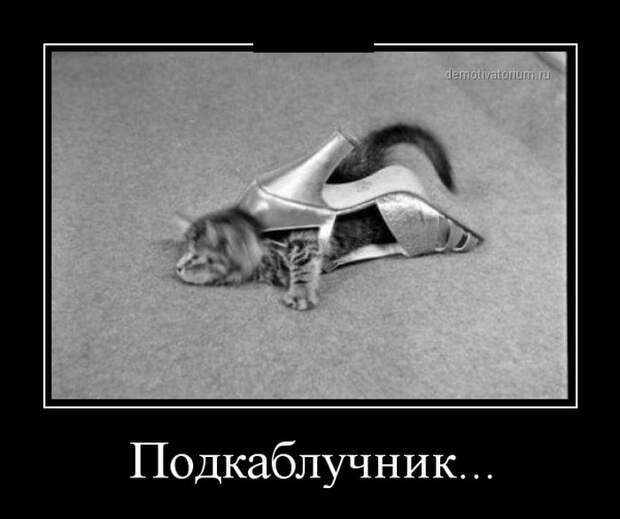Демотиваторы  демотиваторы, прикол, смех, юмор