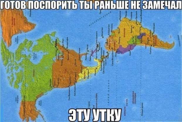 Фото приколы (79 фото)