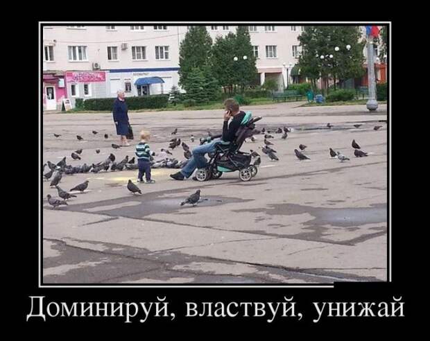 Подборка демотиваторов демотиваторы, юмор