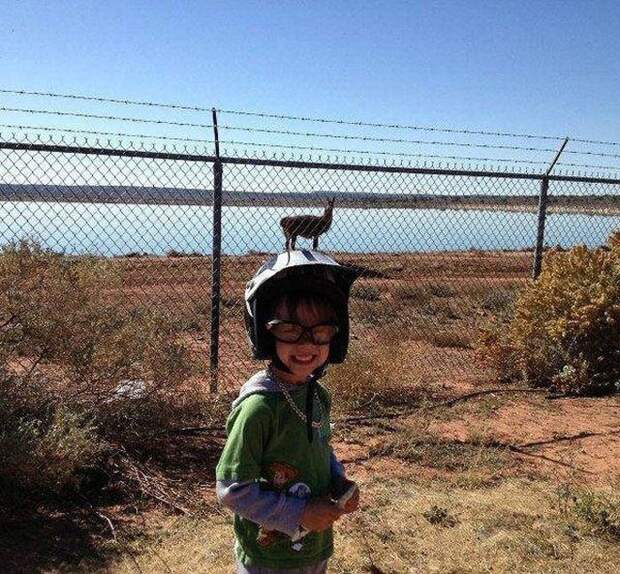 Веселые снимки, сделанные в самый подходящий момент (50 фото)