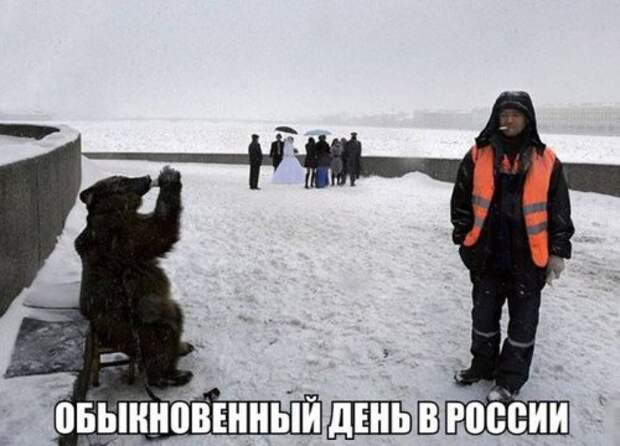 Снова прикольные картинки (51 шт)