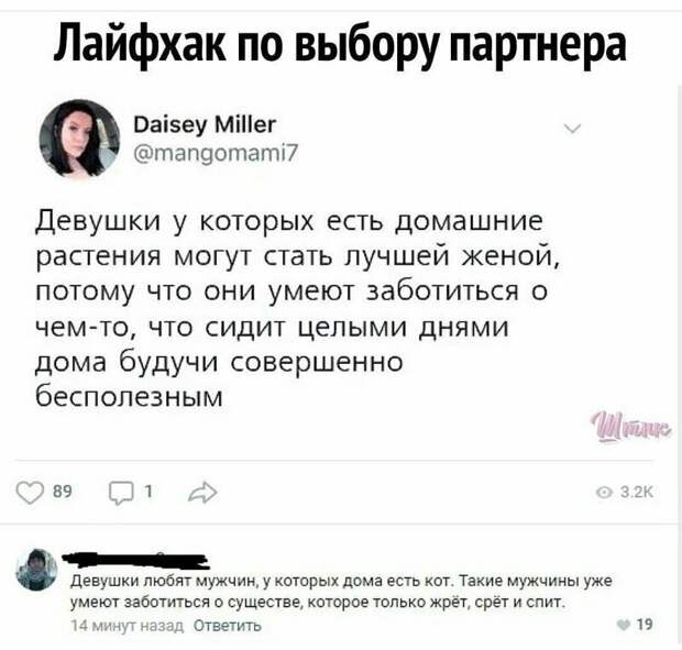 Об отношениях instagram, reddit, комменты, мемасики, мемы, приколы, смешно, соцсети