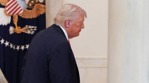 "Ненавижу их гнилой характер": в Японии поддержали выход США из НАТО