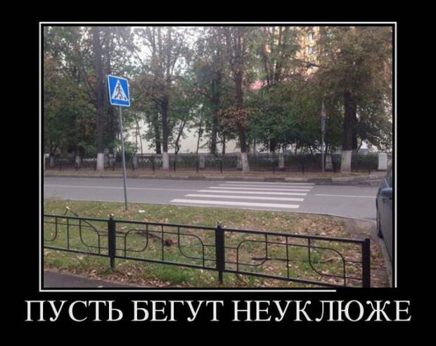 Подборка  демотиваторов демотиваторы, юмор