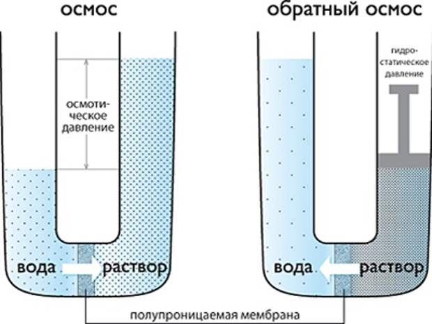 8осмос-и-обратный-осмос