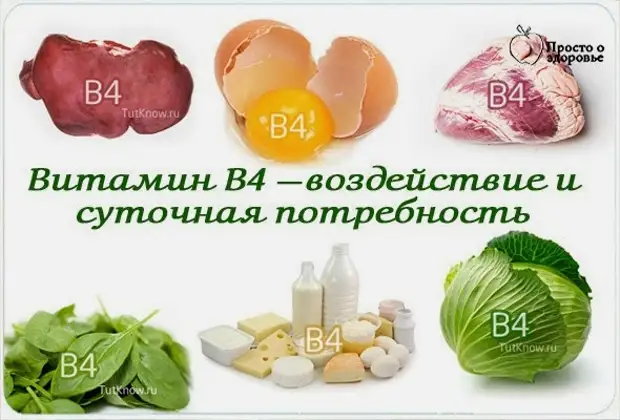 Витамин 4 в каких продуктах. Холин - витамин в4 и витамин в. Витамин в4 Холин. Витамин b4 Холин. Витамин b4 Холин в продуктах.