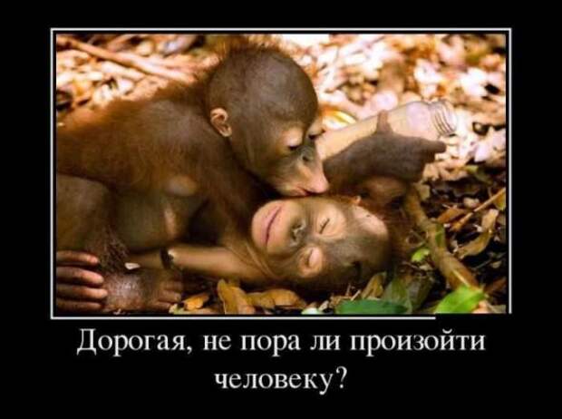 Немного новых демотиваторв