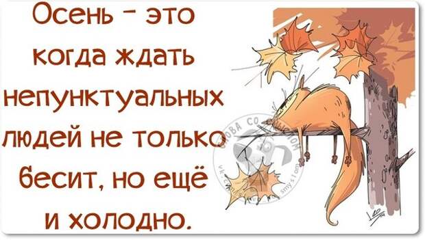 Ноябрь прикол. Шутки про осень. Анекдоты про осень. Анекдоты про осень в картинках. Смешные высказывания про осень.