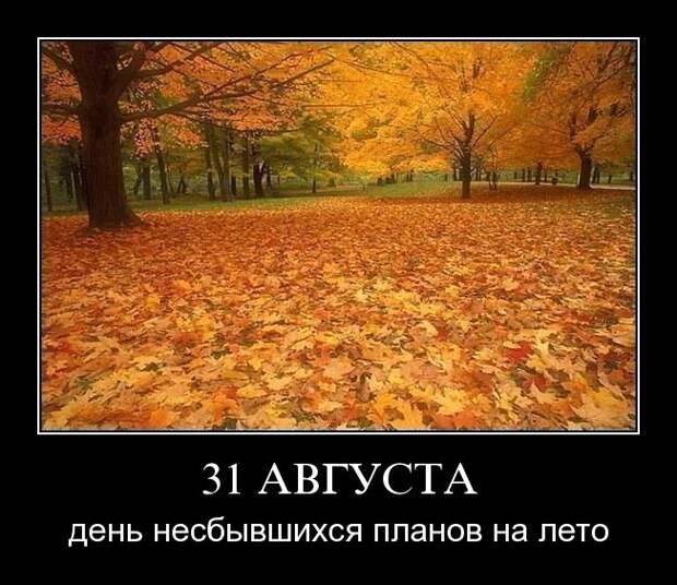 Демотиваторы (107 фото)