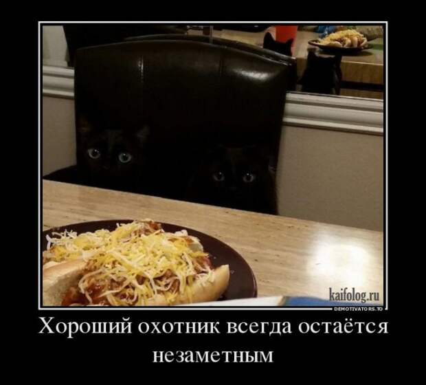 Смешные демотиваторы - 252 (55 демотиваторов)