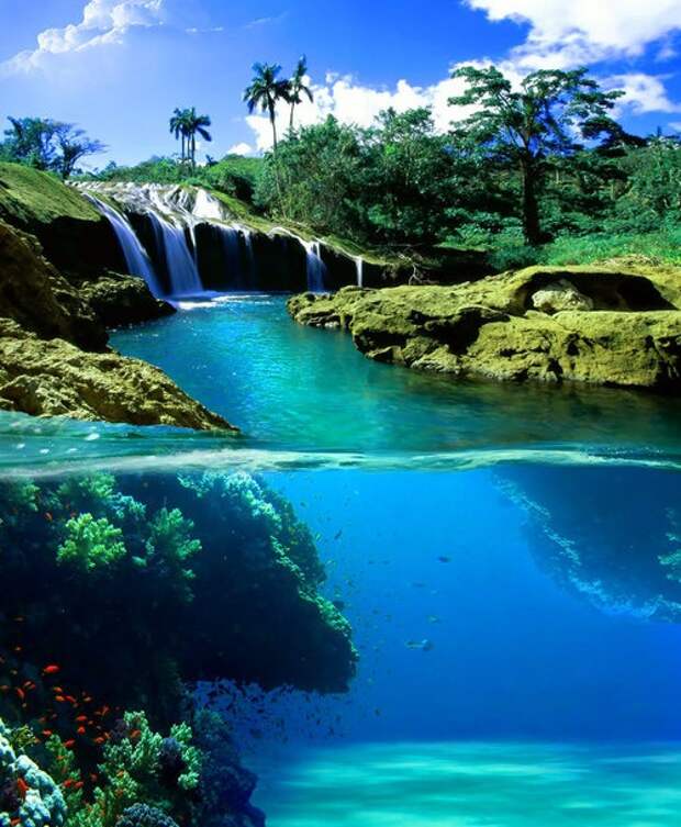 Гавайи  интересное, фото