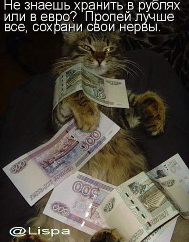 Любимая купюра. Деньги любят меня. Кот с деньгами. Деньги зарплата. Деньги я люблю деньги.