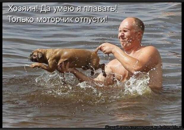 Котоматрица 18