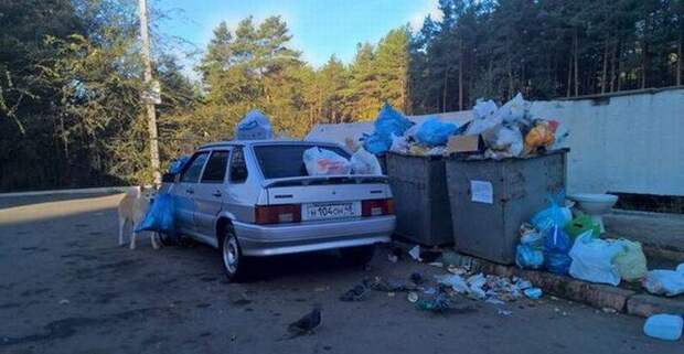Очередная подборка автоприколов автоприколы, приколы