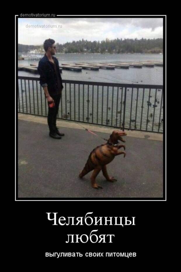 Свежие демотиваторы-приколы (14 шт)