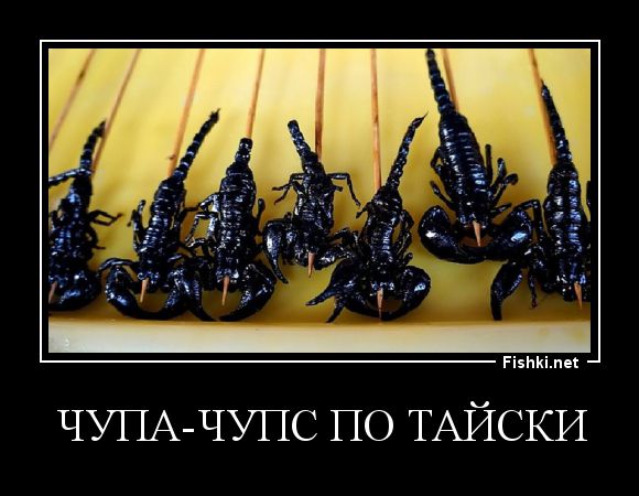 Демотиваторы демотиваторы, прикол, смех, юмор