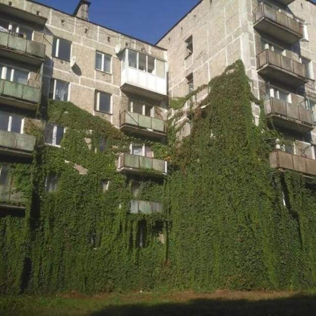 Фото с просторов нашей бескрайней