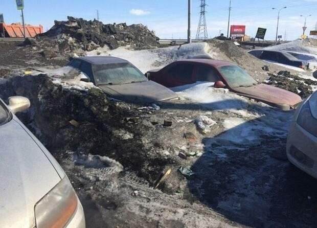 автоприколы