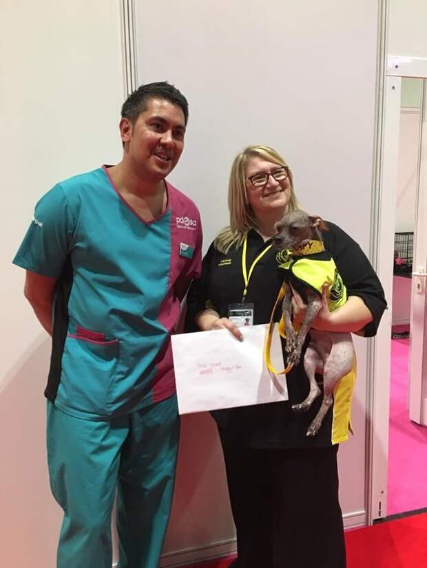 His owner, Bev Nicholson, 53, from Peterborough, told BuzzFeed News it was "definitely a perfect accolade for the joy he brings others."