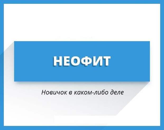 Увеличиваем словарный запас слова, язык