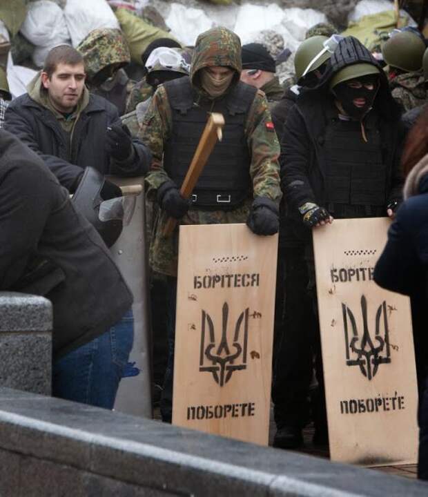 Киевляне за чистый город и против фашистов