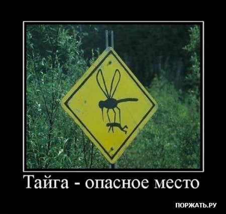 Демотиваторы, истории с приколом.