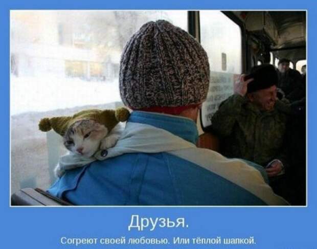 Картинки серьезные темы мотиваторы.