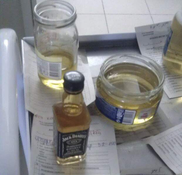Прикольные картинки Прикольные картинки