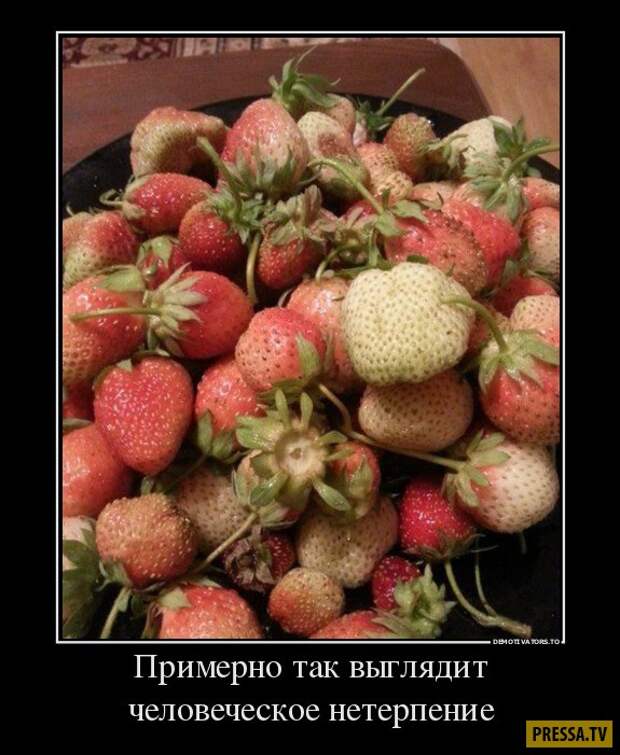 Демотиваторы (43 фото)