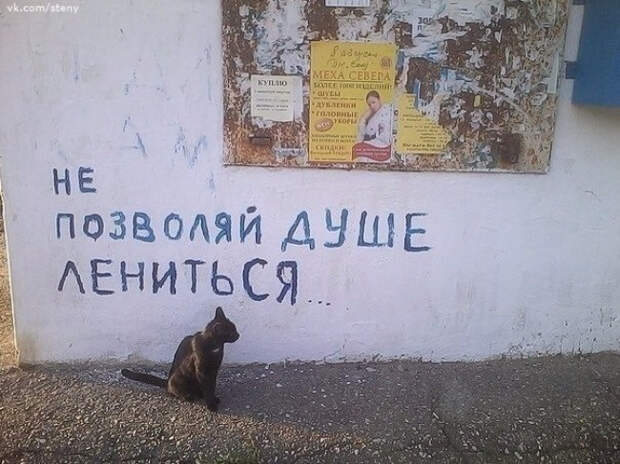 позитивные надписи на стенах 