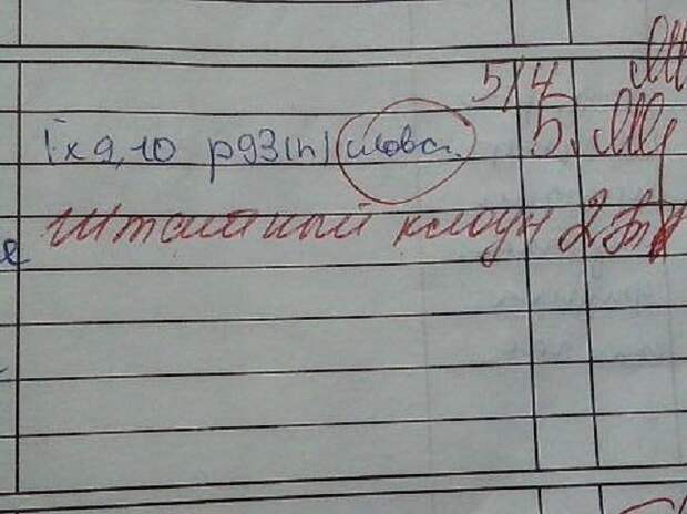 Юмор из школьных дневников (15 фото)