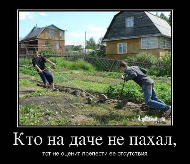 Демотиваторы (30 фото)