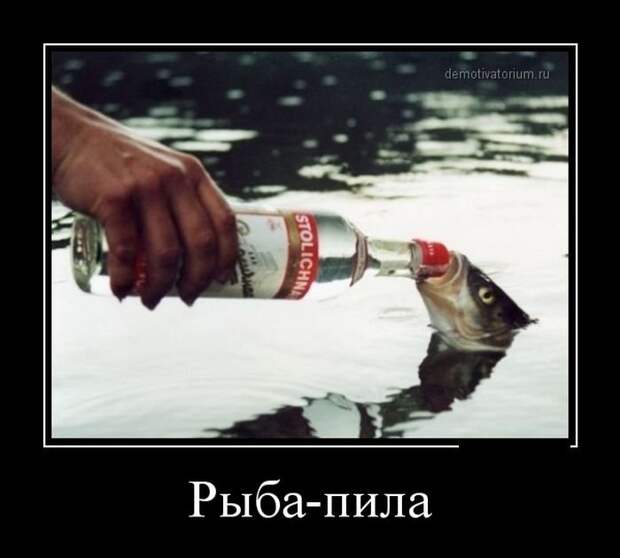 Демотиваторы для поднятия настроения. Не скучай! Демотиваторы для поднятия настроения. Не скучай!