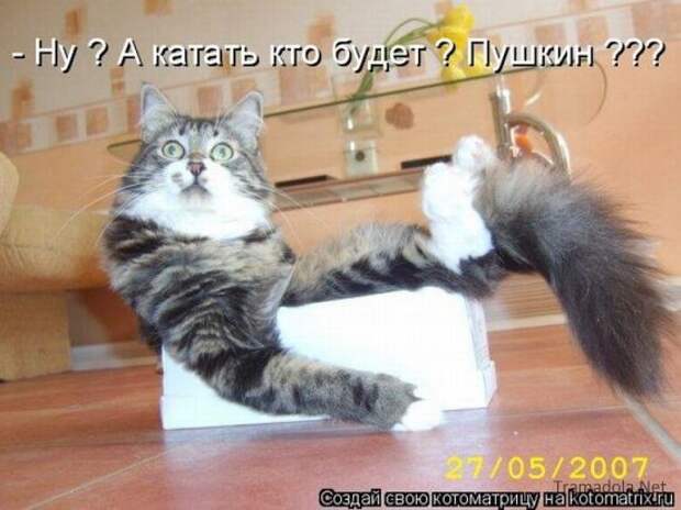Осенняя подборка Котоматриц 2010 - Выпуск 22