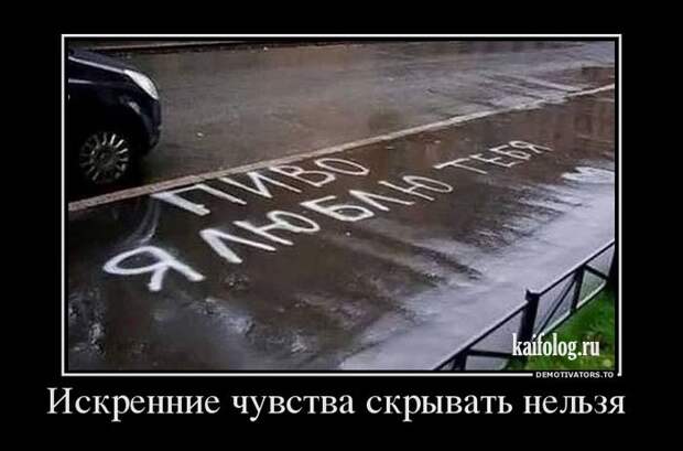 Демотиваторы про пиво (60 штук)