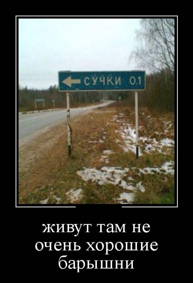 Демотиваторы