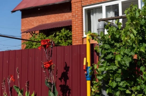 Психиатр Литков рассказал, поможет ли огород справиться с депрессией