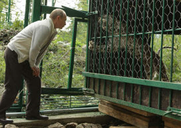 Глава правительства РФ Владимир Путин у вольера с леопардом в Сочинском национальном парке