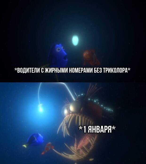 Как за них могут наказать? Что не так с 3D-номерами и госзнаками с жирным шрифтом?