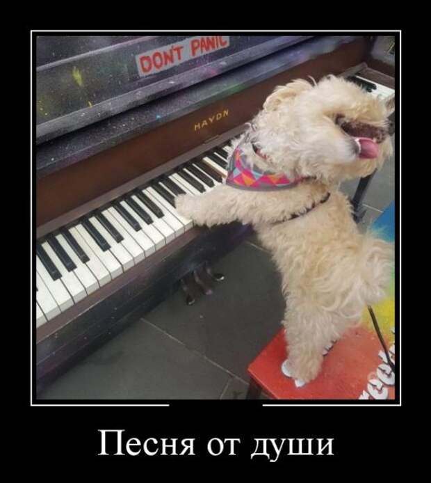 Демотиваторы (30 фото)