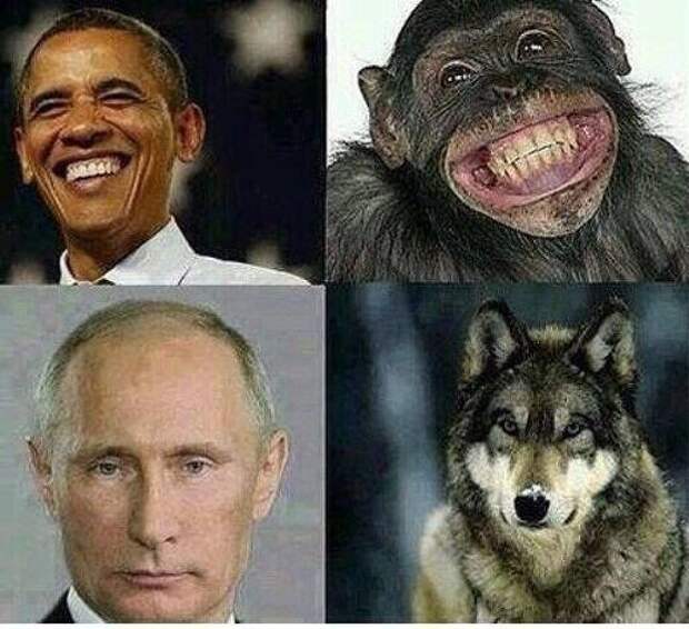 Картинки
