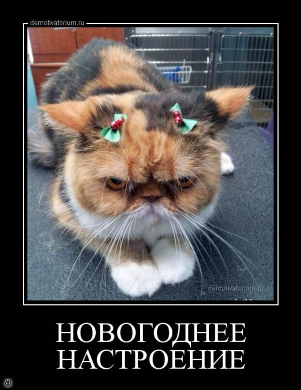 Демотиваторы на 1 января 2016 года 2