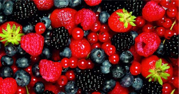 9 самых полезных продуктов для всего организма